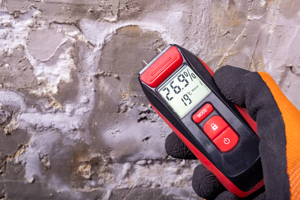 Attic Mold Removal in Pinehurst, NC