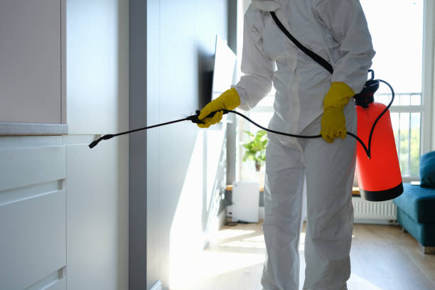 Reliable Pinehurst, NC Mold Removal Solutions