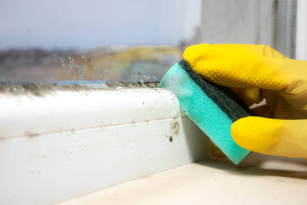 Best Mold Testing  in Pinehurst, NC